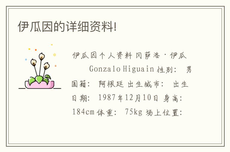 伊瓜因的详细资料!