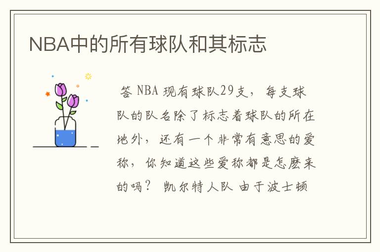 NBA中的所有球队和其标志