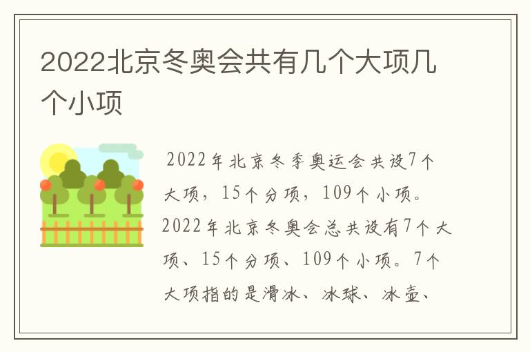 2022北京冬奥会共有几个大项几个小项