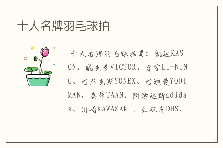 十大名牌羽毛球拍