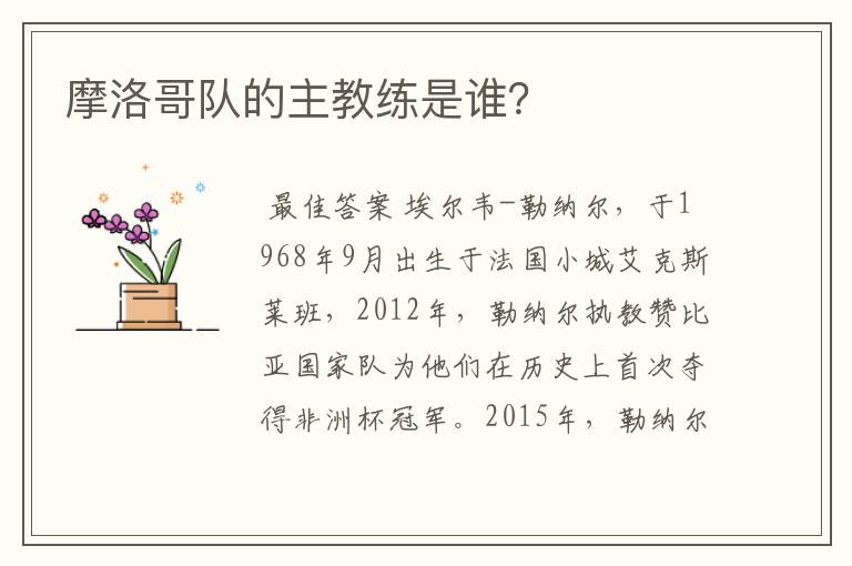 摩洛哥队的主教练是谁?