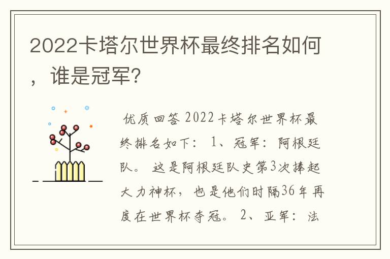 2022卡塔尔世界杯最终排名如何,谁是冠军?