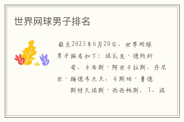 世界网球男子排名
