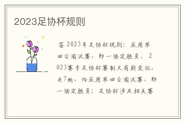 2023足协杯规则