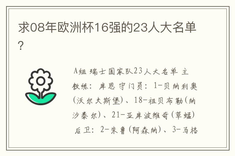 求08年欧洲杯16强的23人大名单?