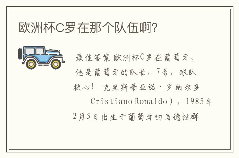 欧洲杯C罗在那个队伍啊?