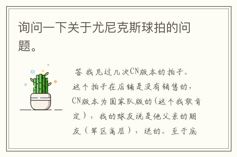 询问一下关于尤尼克斯球拍的问题。