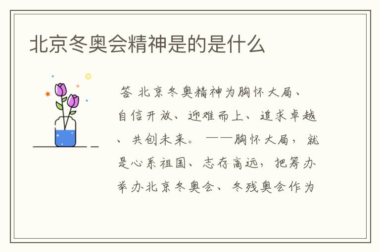 北京冬奥会精神是的是什么