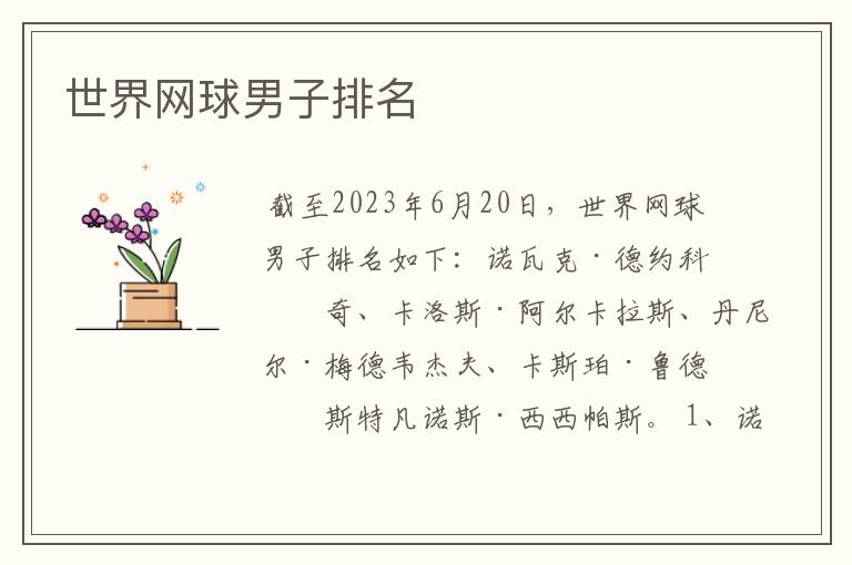 世界网球男子排名