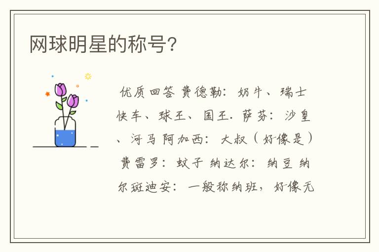 网球明星的称号?