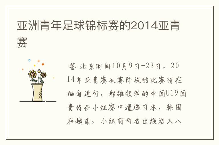 亚洲青年足球锦标赛的2014亚青赛