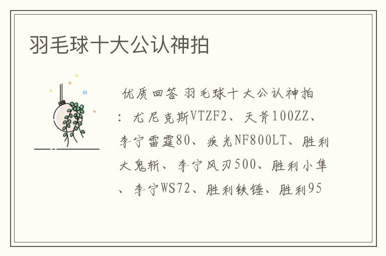 羽毛球十大公认神拍