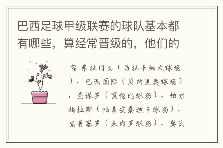 巴西足球甲级联赛的球队基本都有哪些,算经常晋级的,他们的球场都叫什么名
