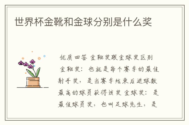 世界杯金靴和金球分别是什么奖