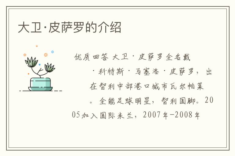 大卫·皮萨罗的介绍