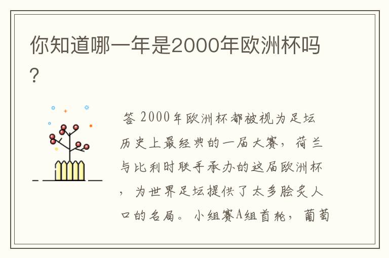 你知道哪一年是2000年欧洲杯吗？