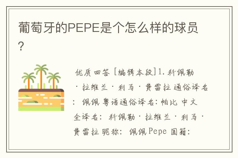 葡萄牙的PEPE是个怎么样的球员?