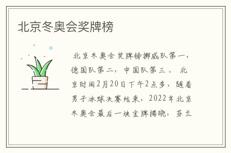 北京冬奥会奖牌榜