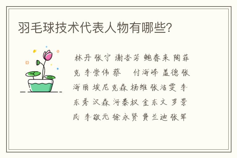 羽毛球技术代表人物有哪些?
