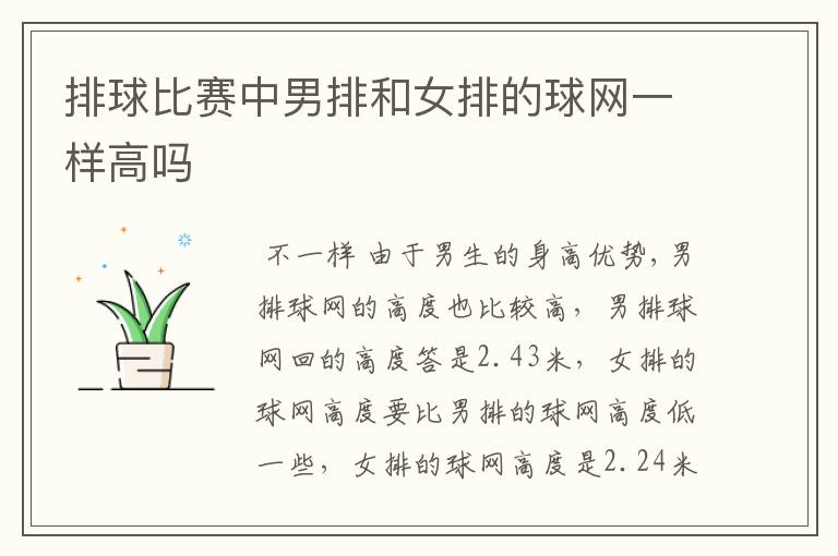排球比赛中男排和女排的球网一样高吗
