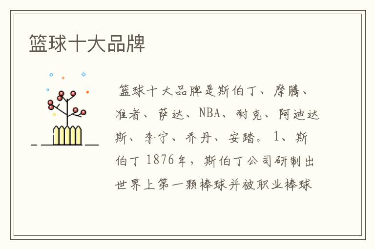 篮球十大品牌