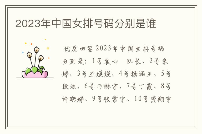 2023年中国女排号码分别是谁