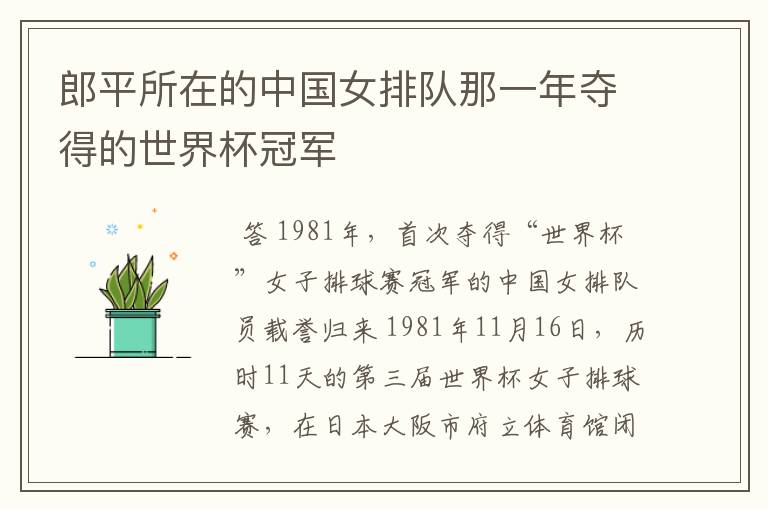 郎平所在的中国女排队那一年夺得的世界杯冠军