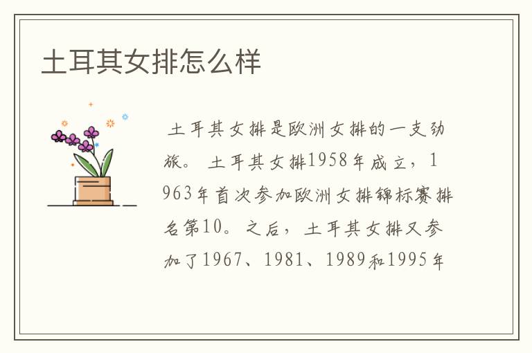土耳其女排怎么样