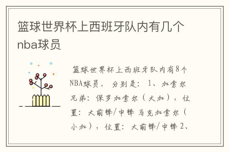 篮球世界杯上西班牙队内有几个nba球员