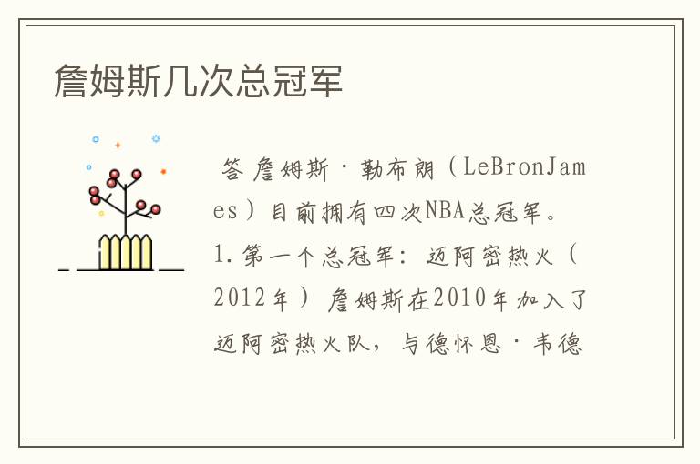 詹姆斯几次总冠军