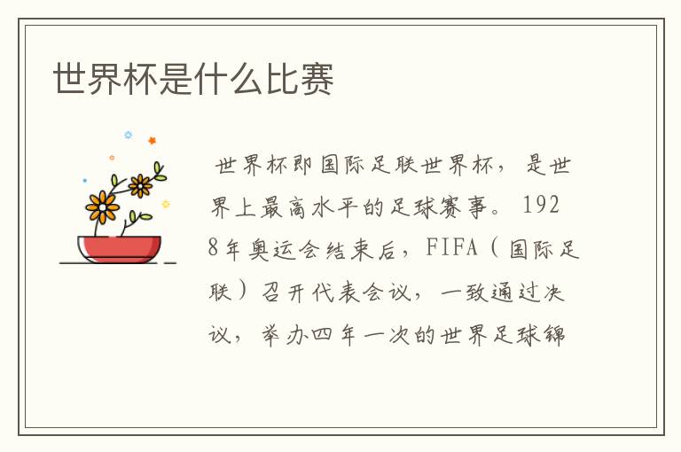世界杯是什么比赛