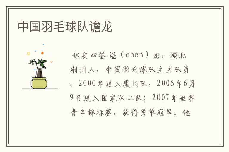 中国羽毛球队谵龙