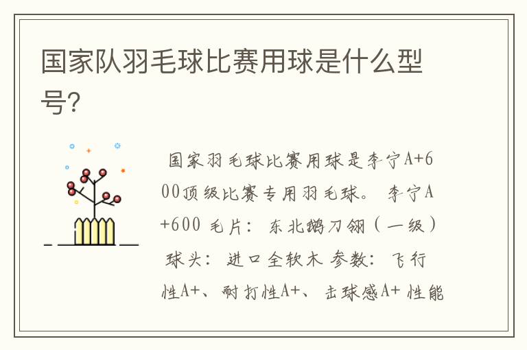 国家队羽毛球比赛用球是什么型号?