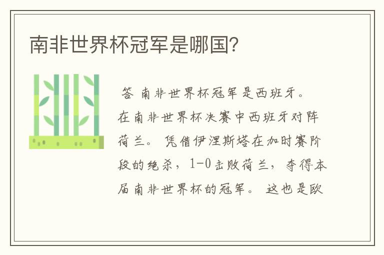 南非世界杯冠军是哪国?