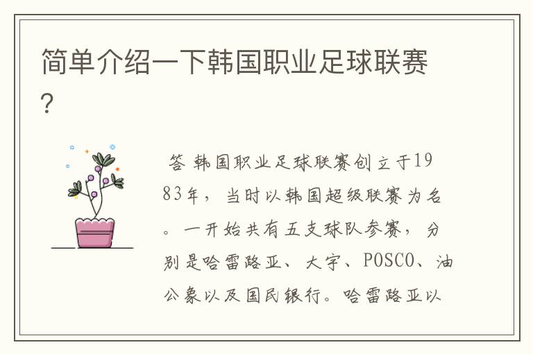 简单介绍一下韩国职业足球联赛?