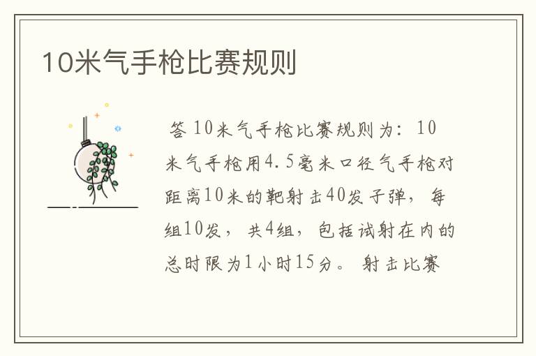 10米气手枪比赛规则