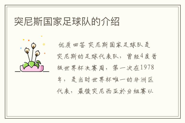 突尼斯国家足球队的介绍