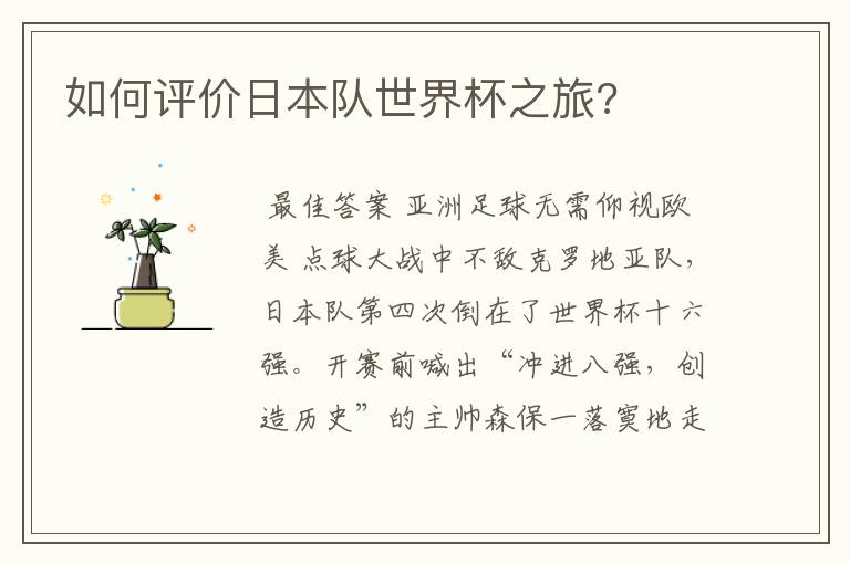 如何评价日本队世界杯之旅?