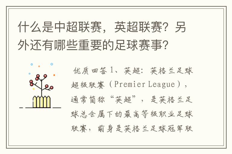 什么是中超联赛,英超联赛?另外还有哪些重要的足球赛事?
