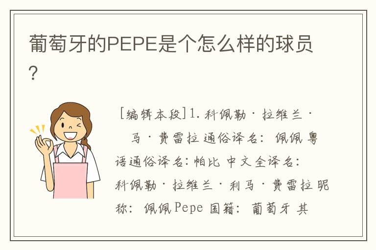 葡萄牙的PEPE是个怎么样的球员？