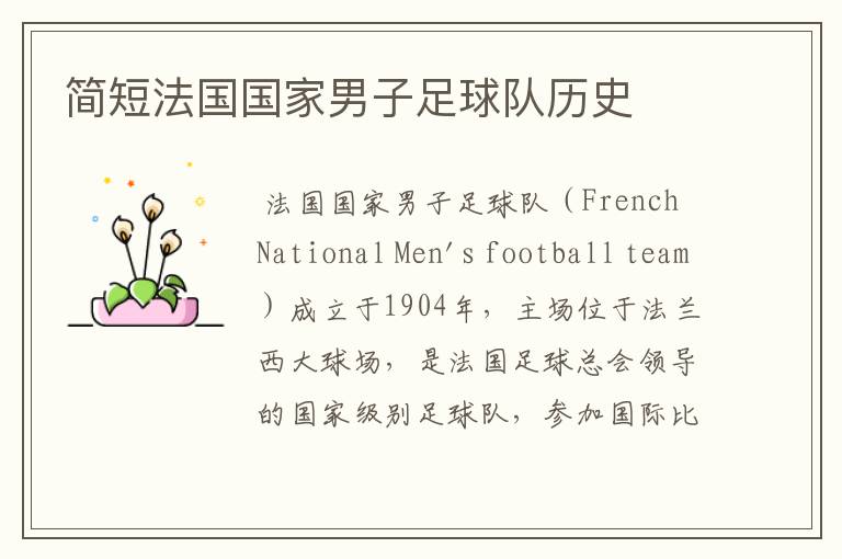 简短法国国家男子足球队历史