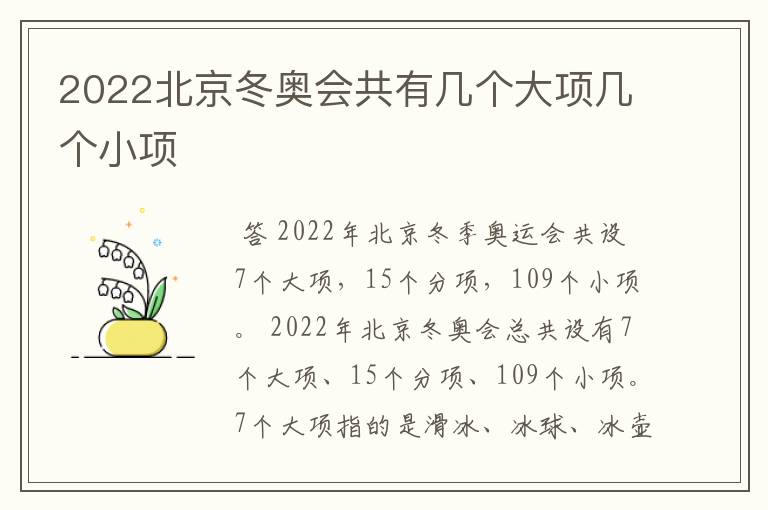 2022北京冬奥会共有几个大项几个小项