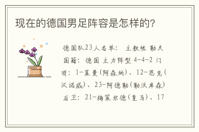 现在的德国男足阵容是怎样的?