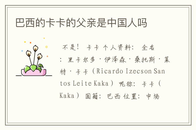 巴西的卡卡的父亲是中国人吗