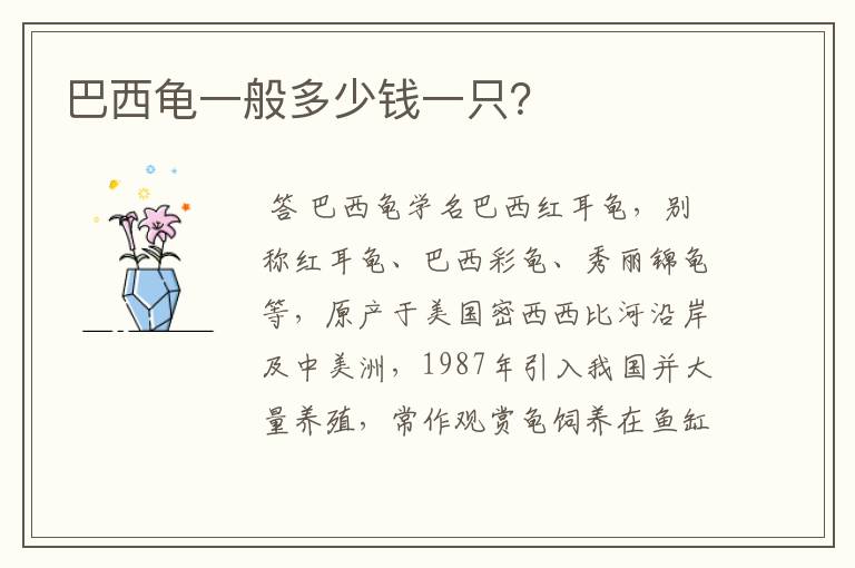 巴西龟一般多少钱一只？