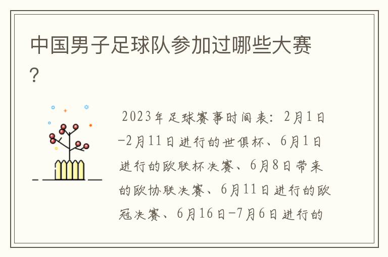 中国男子足球队参加过哪些大赛?