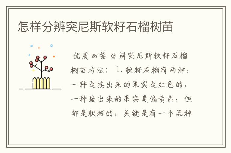 怎样分辨突尼斯软籽石榴树苗