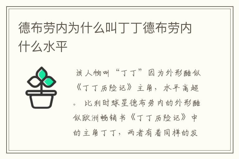 德布劳内为什么叫丁丁德布劳内什么水平