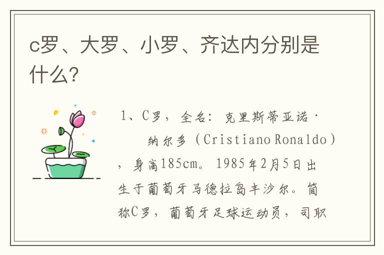 c罗、大罗、小罗、齐达内分别是什么?