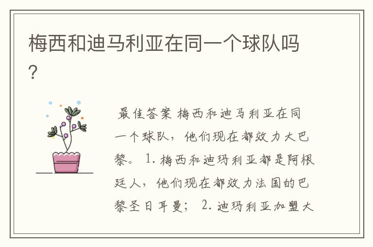 梅西和迪马利亚在同一个球队吗?